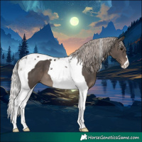 Horse Color:Silver Black Tobiano 