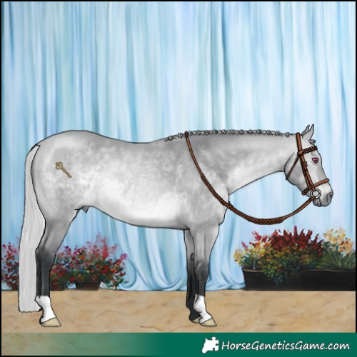Horse Color:Silver Bay Chinchilla Rabicano 