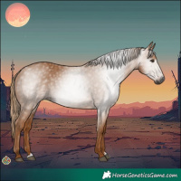 Horse Color:Gray Chestnut 