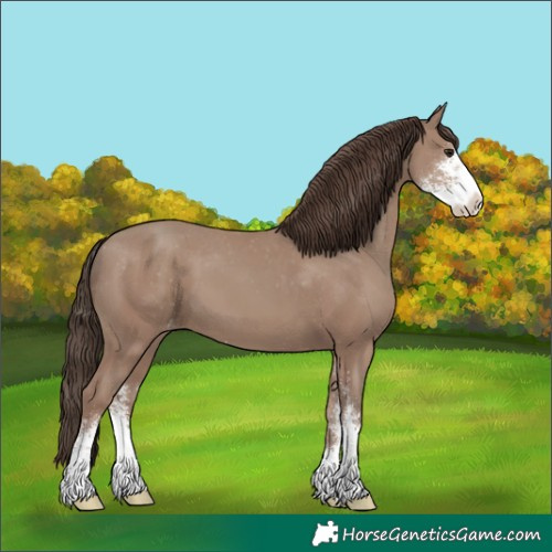 Horse Color:Classic Champagne Sabino Varnish