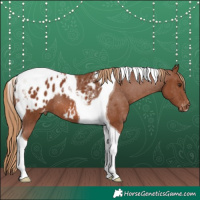 Horse Color:Chestnut Tobiano Appaloosa 