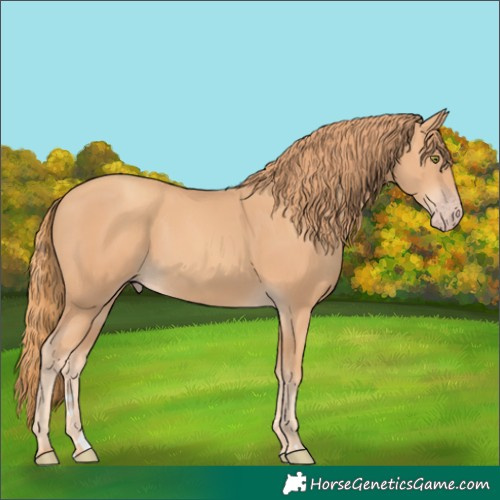 Horse Color:Gold Champagne
