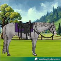 Horse Color:Smoky Black Sabino Appaloosa 