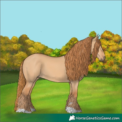 Horse Color:Red Dun 