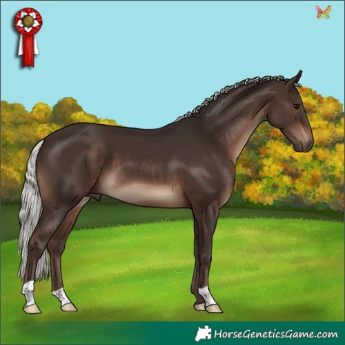 Horse Color:Silver Brown 