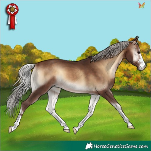Horse Color:Silver Bay Onyx 