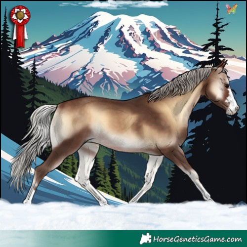 Horse Color:Silver Bay Onyx 