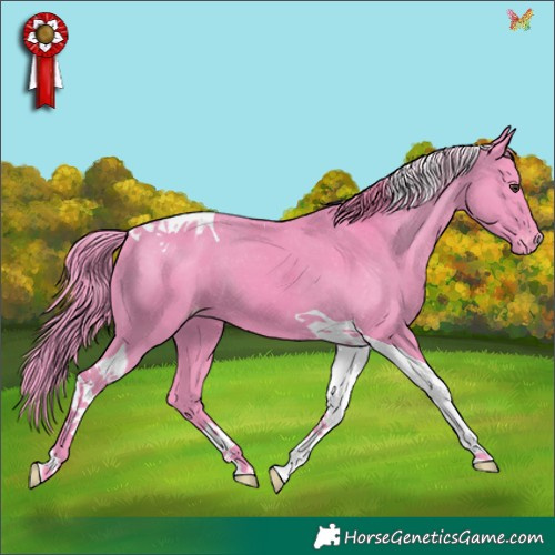 Horse Color:Watercolor Liver Chestnut Tobiano Appaloosa