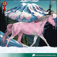 Horse Color:Watercolor Liver Chestnut Tobiano Appaloosa