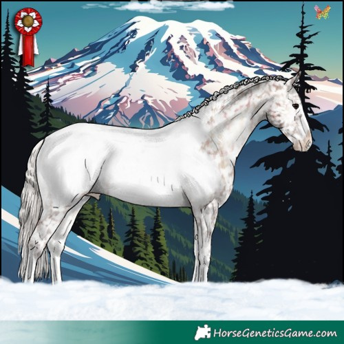 Horse Color:Plaid  Silver Bay Onyx Appaloosa 
