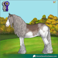 Horse Color:Silver Black Splash Tobiano 