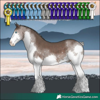 Horse Color:Silver Black Splash Tobiano
