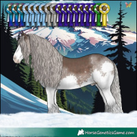 Horse Color:Silver Black Splash Tobiano