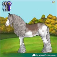 Horse Color:Silver Black Splash Tobiano 