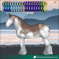 Horse Color:Silver Black Splash Tobiano 