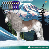 Horse Color:Silver Black Splash Tobiano 