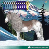 Horse Color:Silver Black Splash Tobiano