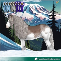 Horse Color:Silver Black Splash Tobiano 