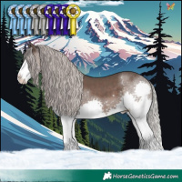 Horse Color:Silver Black Splash Tobiano 