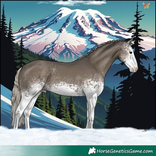 Horse Color:White Spotted Silver Smoky Black 