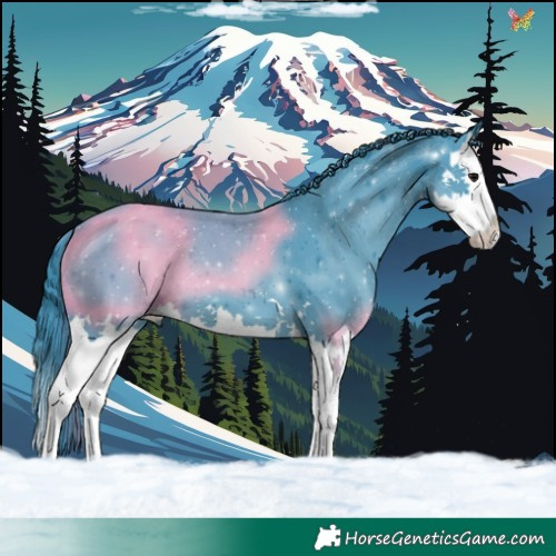 Horse Color:Watercolor Smoky Black Splash 