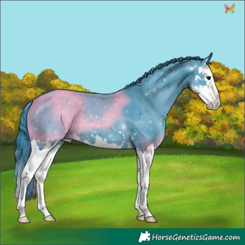 Horse Color:Watercolor Smoky Black Splash 
