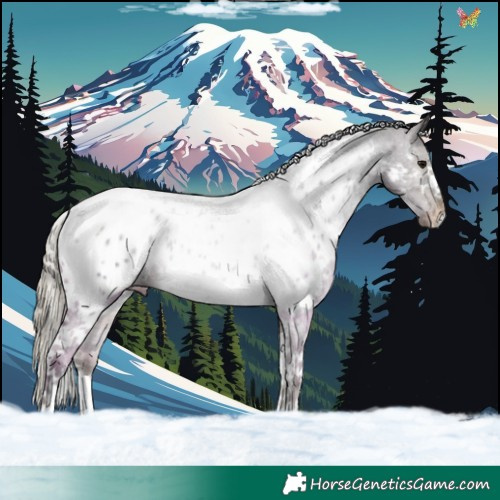 Horse Color:Silver Smoky Black Tobiano Near Leopard 
