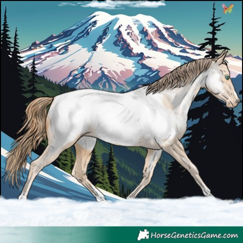 Horse Color:Smoky Black Pearl Near Fewspot 