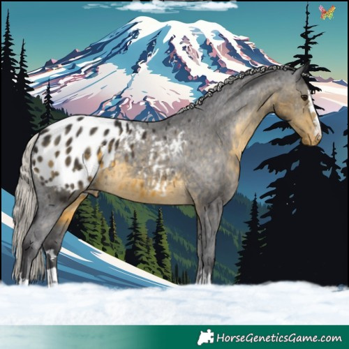Horse Color:Silver Buckskin Blanket 