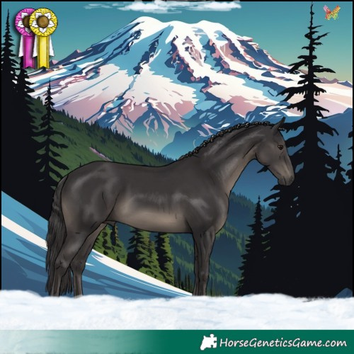 Horse Color:Smoky Black 