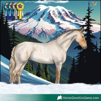 Horse Color:Palomino Roan 