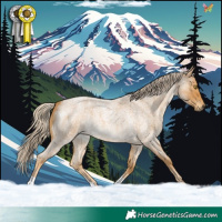 Horse Color:Palomino Roan 