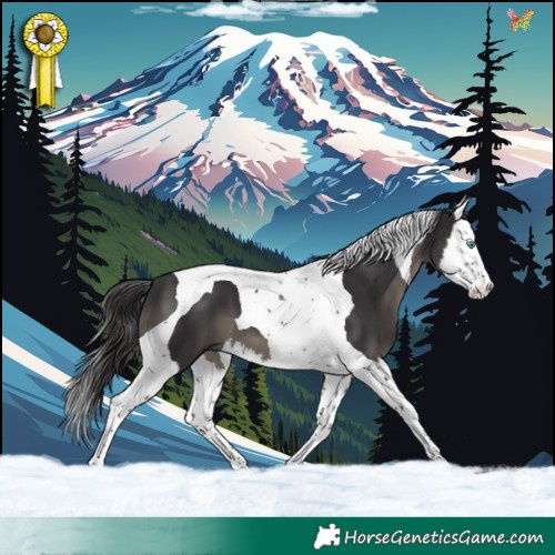 Horse Color:Smoky Black Splash Tobiano 