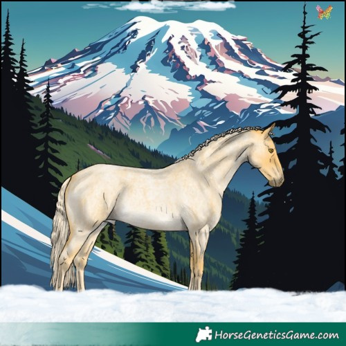 Horse Color:Palomino Roan 