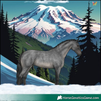 Horse Color:Blue Roan 