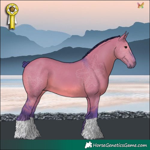 Horse Color:Watercolor Smoky Grullo 