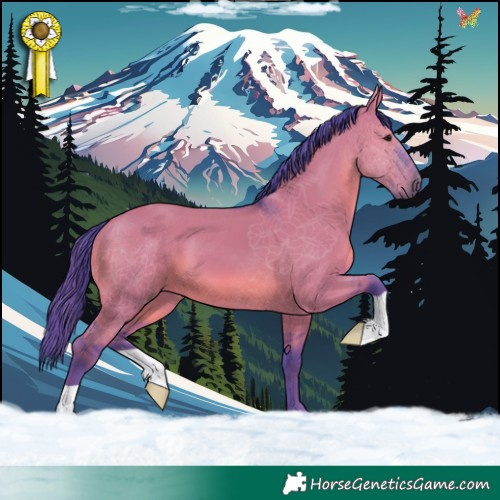Horse Color:Watercolor Smoky Grullo 