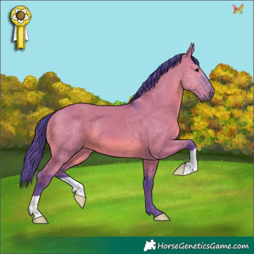 Horse Color:Watercolor Smoky Grullo 