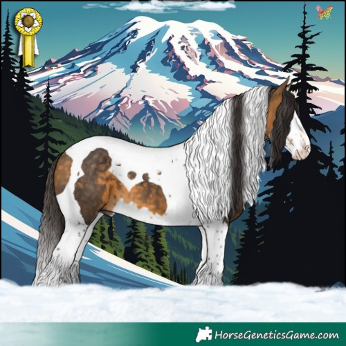 Horse Color:Buckskin Splash Tobiano 
