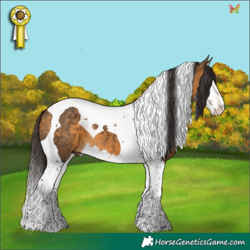 Horse Color:Buckskin Splash Tobiano 
