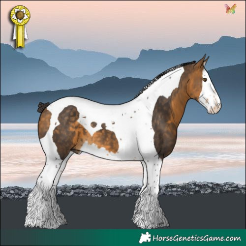 Horse Color:Buckskin Splash Tobiano 