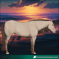 Horse Color:Classic Champagne Dun 