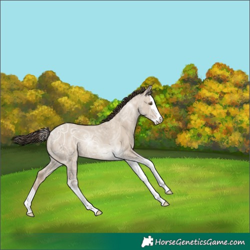 Horse Color:Classic Champagne Ice Dun Splash Tobiano 