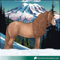 Horse Color:Gold Champagne Splash 