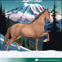 Horse Color:Gold Champagne Splash