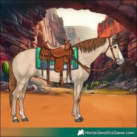 Horse Color:Red Dun Splash 