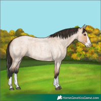 Horse Color:Bay Roan Dun Splash
