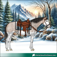 Horse Color:Bay Roan Dun Splash