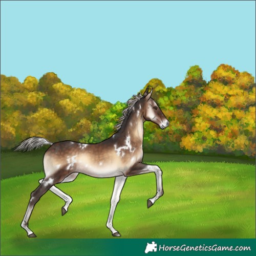 Horse Color:White Spotted Silver Brown Onyx Rabicano 