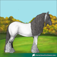 Horse Color:Blue Roan Tobiano Near Fewspot 